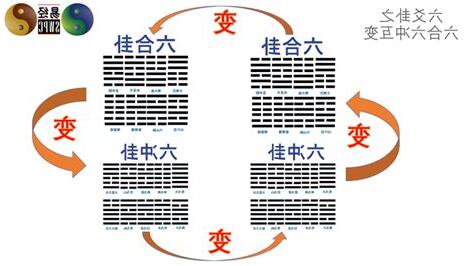 六合卦工作