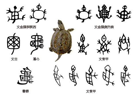 烏龜的龜怎麼寫