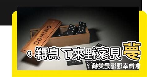 夢見家裡有鳥