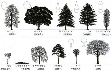樹型種類