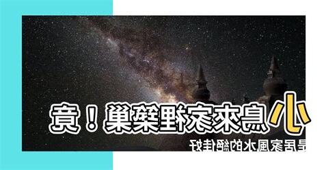 小鳥來家裡