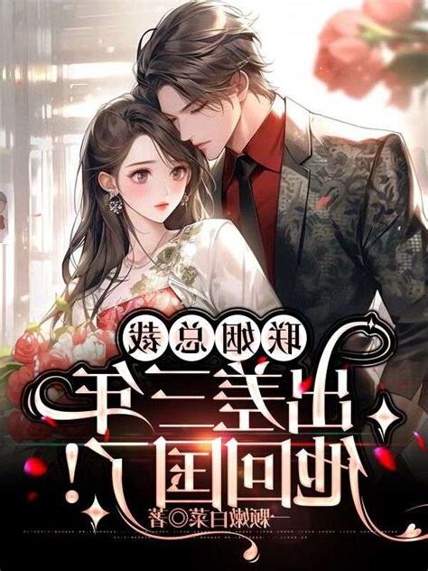 夏暖心陸胤承