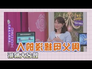 姓名筆畫總數