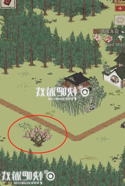 桃花位置