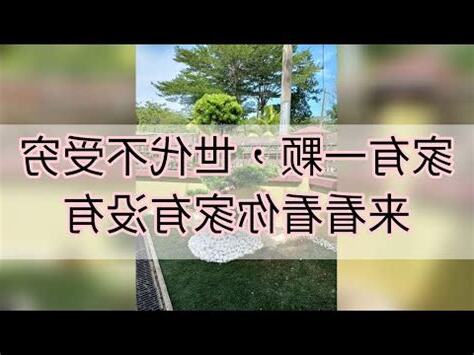 花羅漢風水