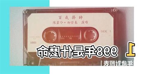 1998年是什麼年