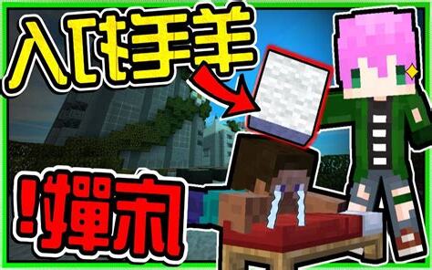 禾卯本名