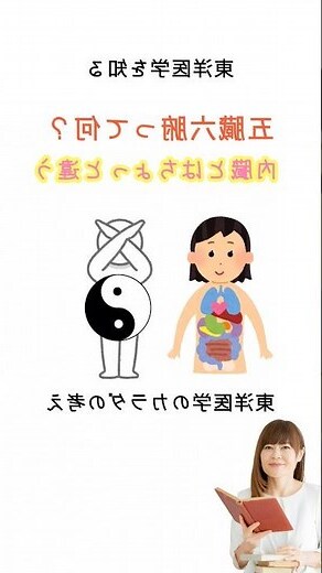 五行六腑