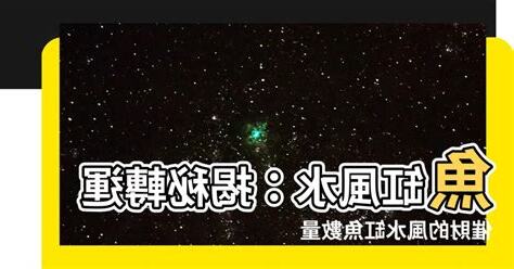 風水缸魚數量