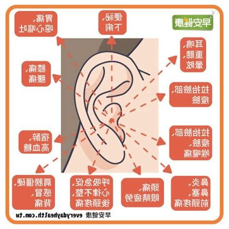 促進耳朵血液循環