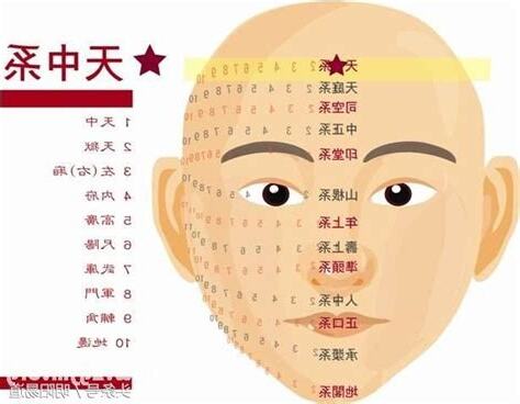 臉圓面相