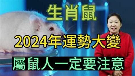 1972屬鼠2024年運程