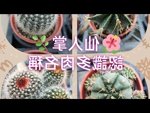 品種圖鑑仙人掌種類
