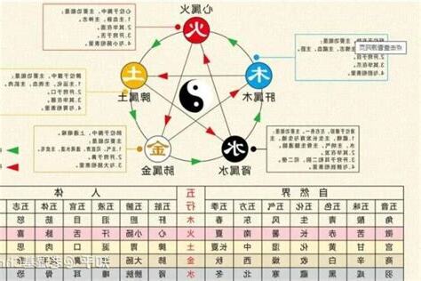 北方五行属什么