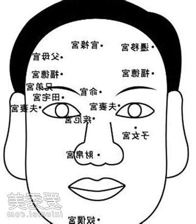 性需要面相