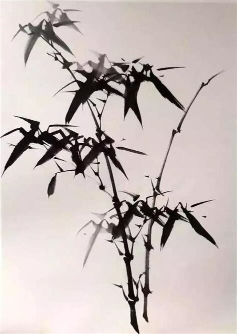 畫竹