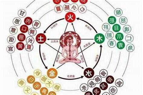 五行都有的人