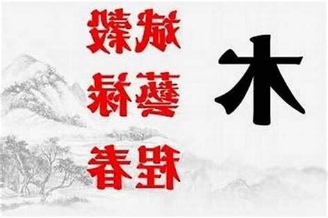 木名字
