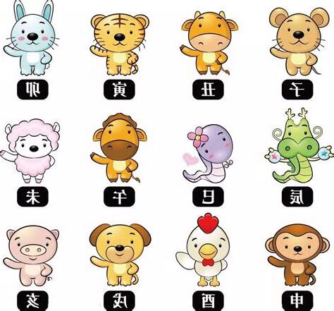12生肖月份