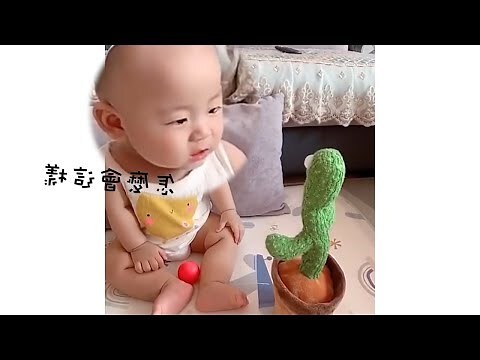 先人掌