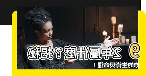 92屬什麼