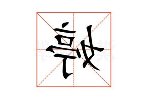 婷字五行