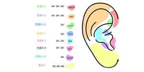 疼痛指數耳洞位置