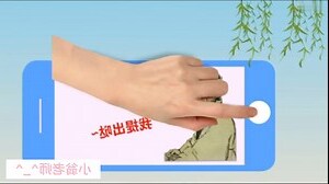 出入相補原理