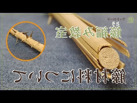 籐