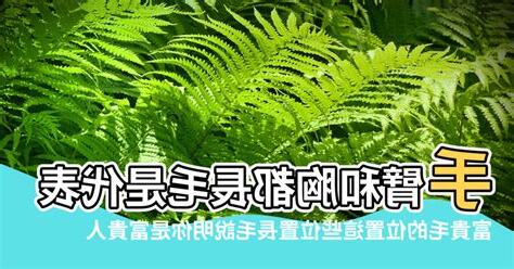 手臂突然長毛