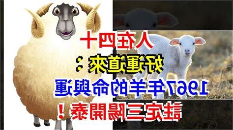 1967年羊