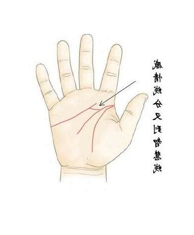 感情線分岔3條