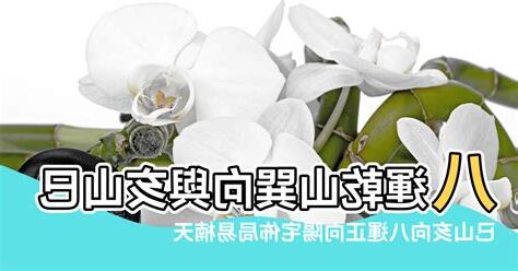 乾山巽向八運