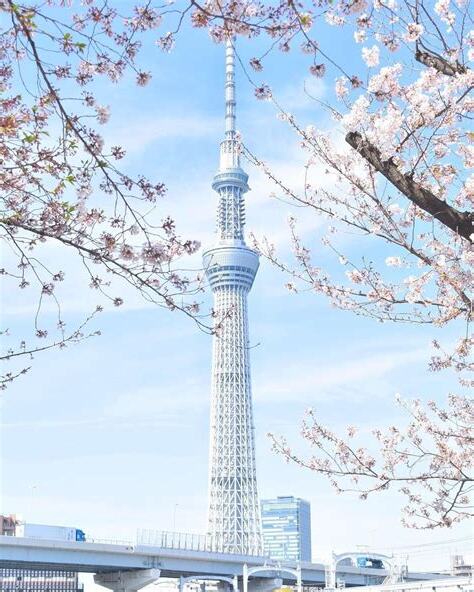 日本大城市