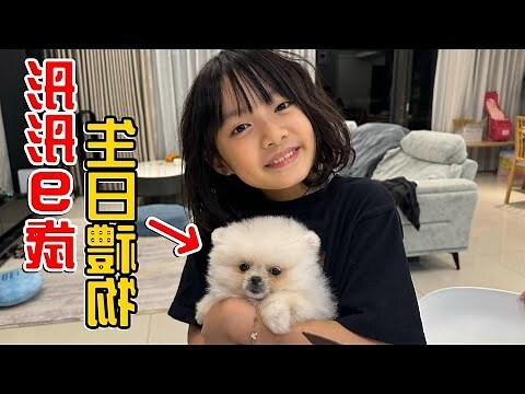 喪狗