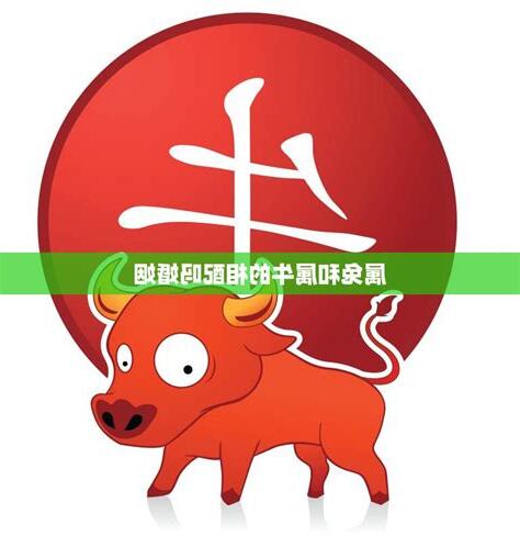 兔牛相配