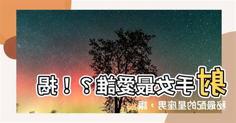 射手跟誰最配