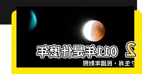 2011年是什麼年