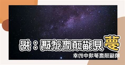 夢到貓頭鷹號碼