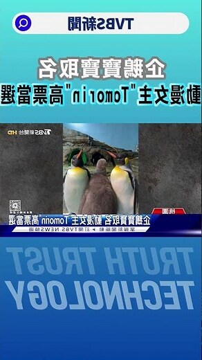 韓國取名