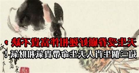 命中帶貴氣