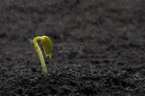 下雨生