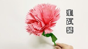 康乃馨寓意