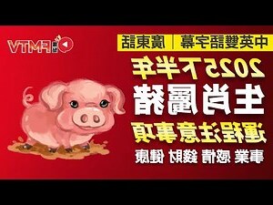 肖豬年份
