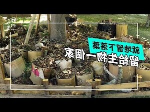 樹木的作用