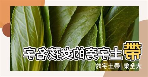 帶土的名字