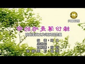 緣份鼻子薄
