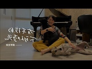家裡養兩隻狗