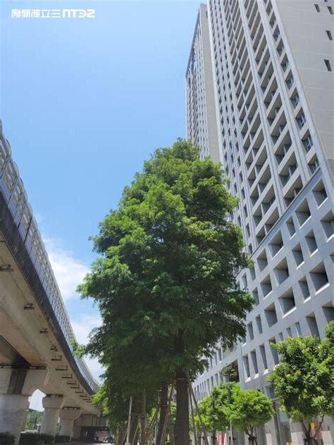 住在高架橋旁邊