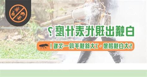 白蟻出現代表什麼